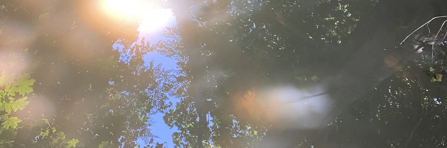 lisinskyw's profile banner image
