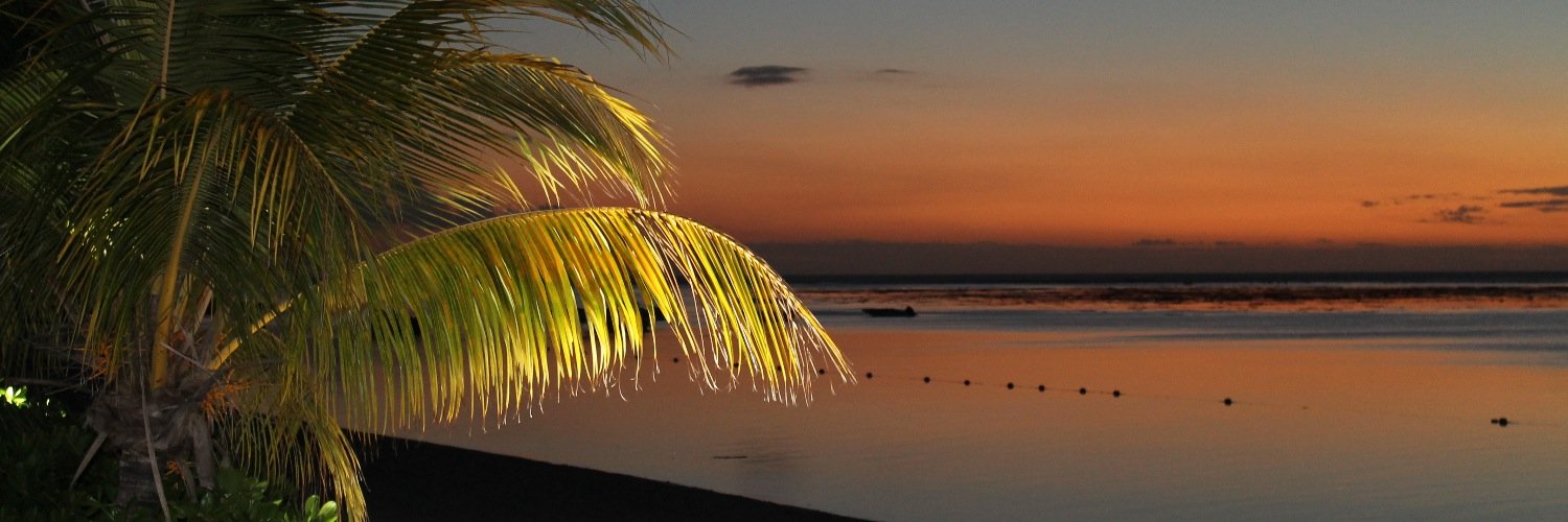 petluy's profile banner image