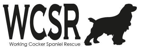 _WCSR's profile banner image