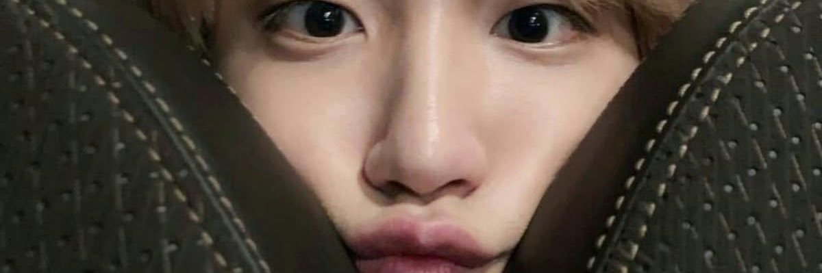 whohansol's profile banner image
