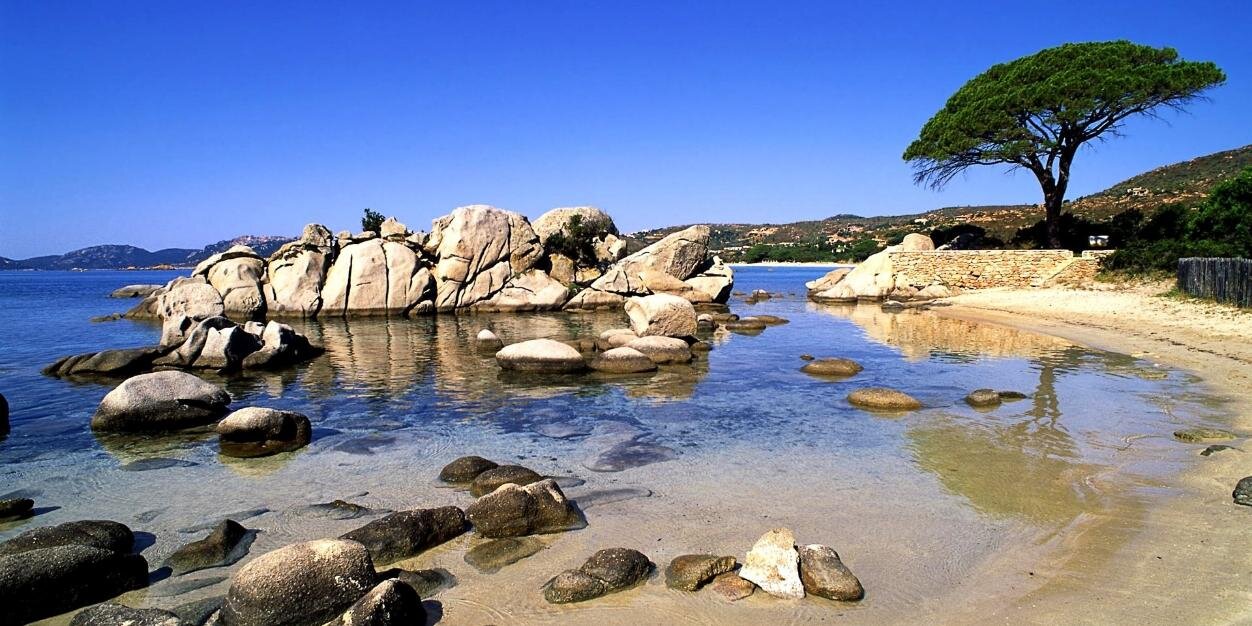 المخيني AL-Mukhaini banner