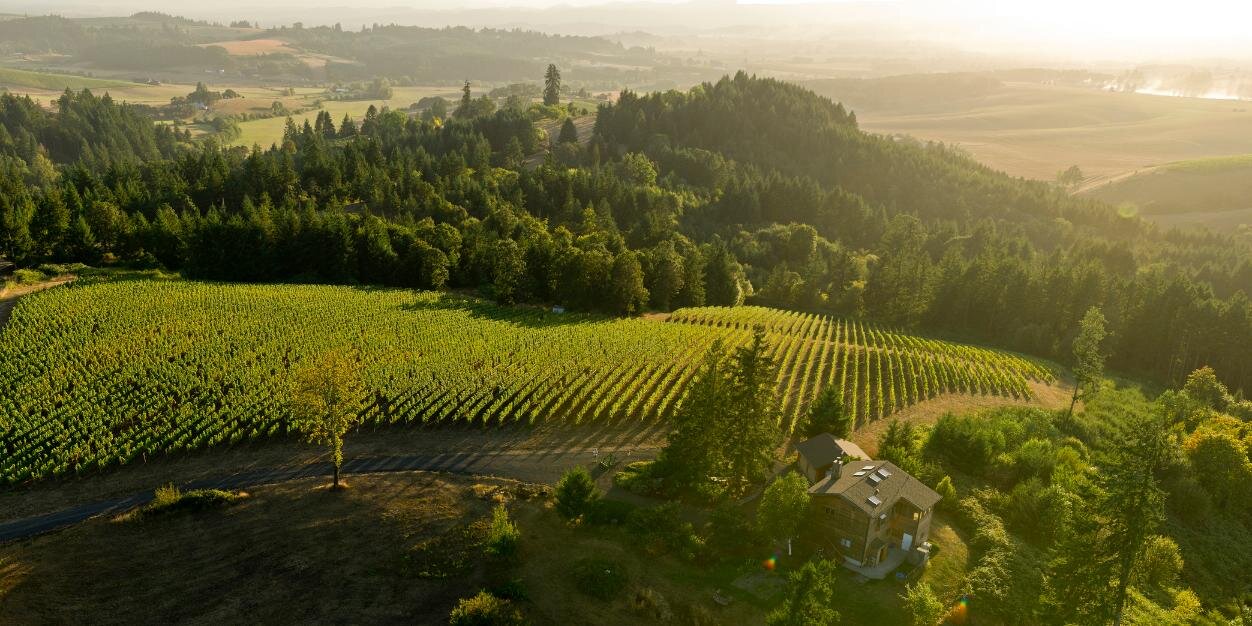 RootsWineCo's profile banner image