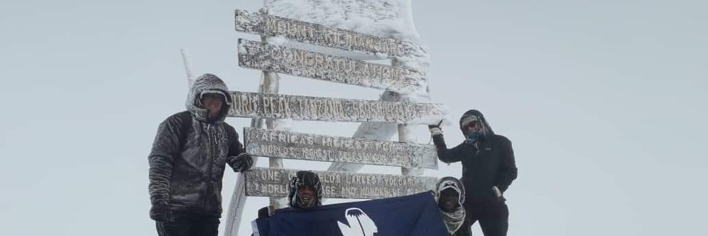 Nick Hamm banner