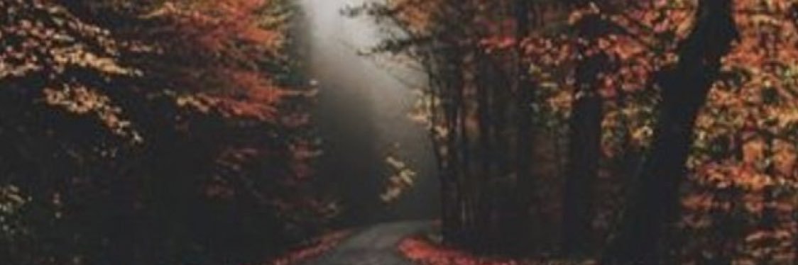 ritzman86's profile banner image
