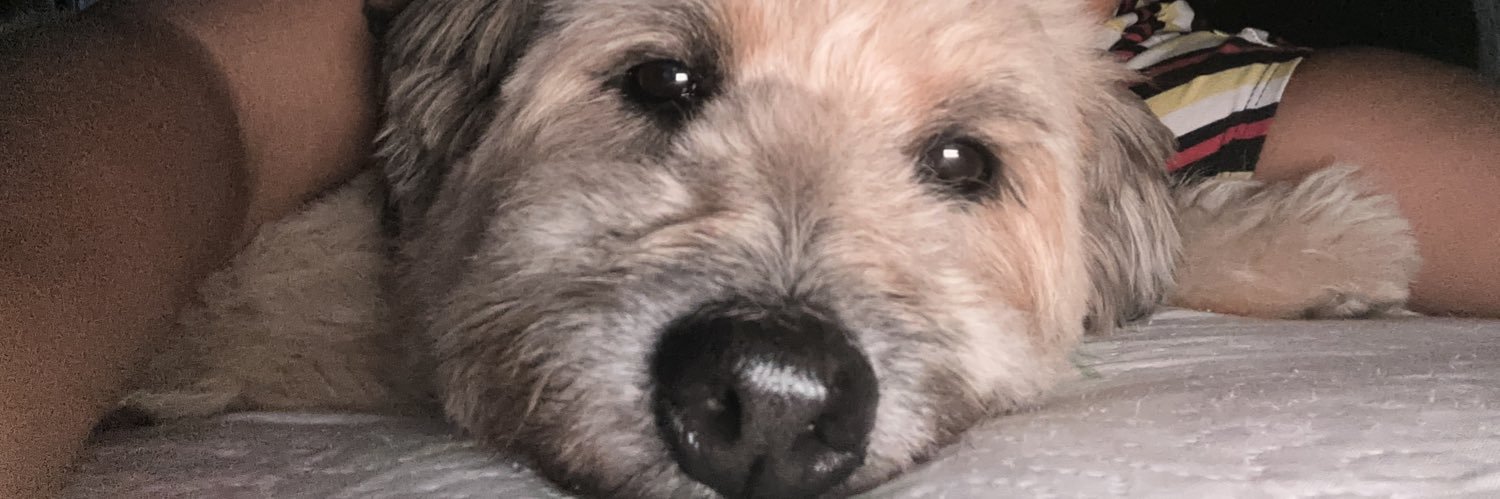 ykcivk's profile banner image
