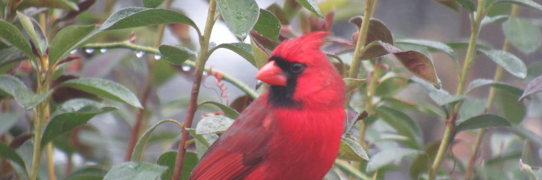 SBWainwright's profile banner image