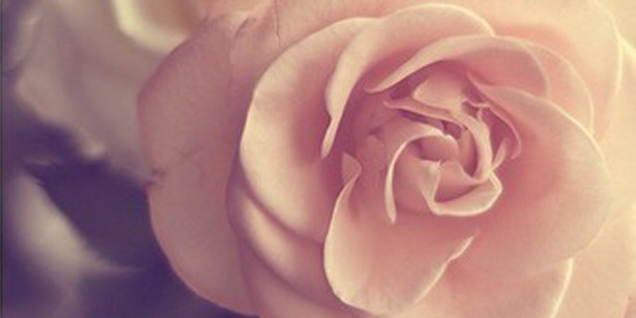 amberose629's profile banner image
