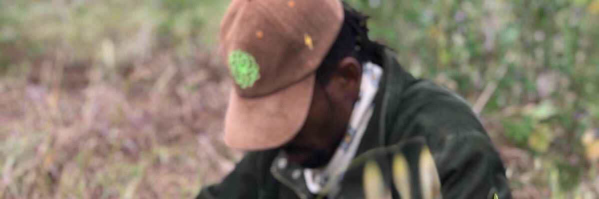 Yancy.is.Wellthy banner