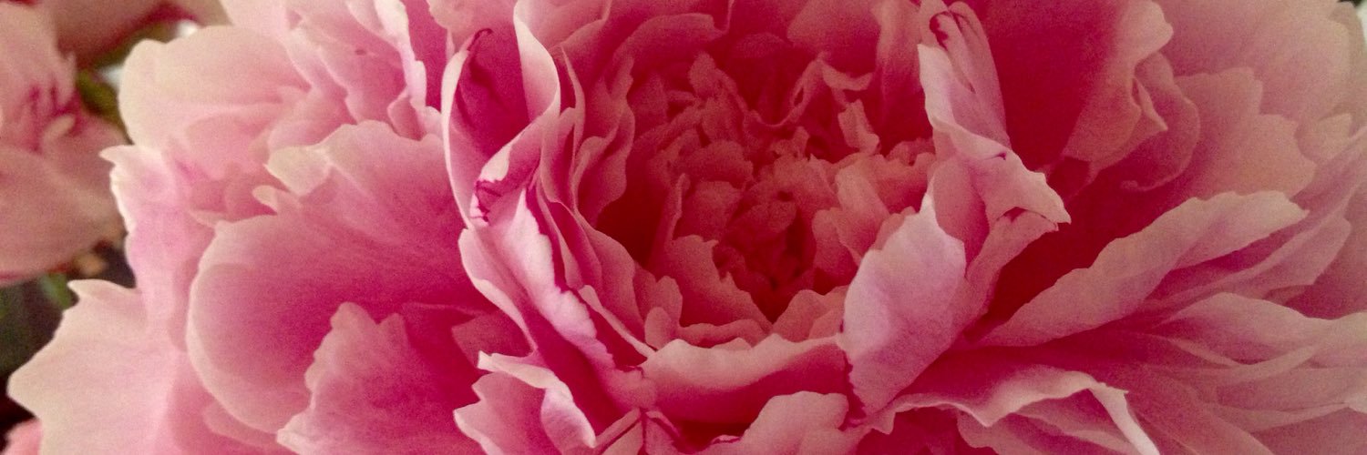 PiaRoen's profile banner image