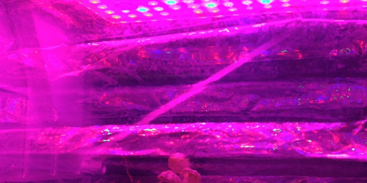 NASAVeggie's profile banner image