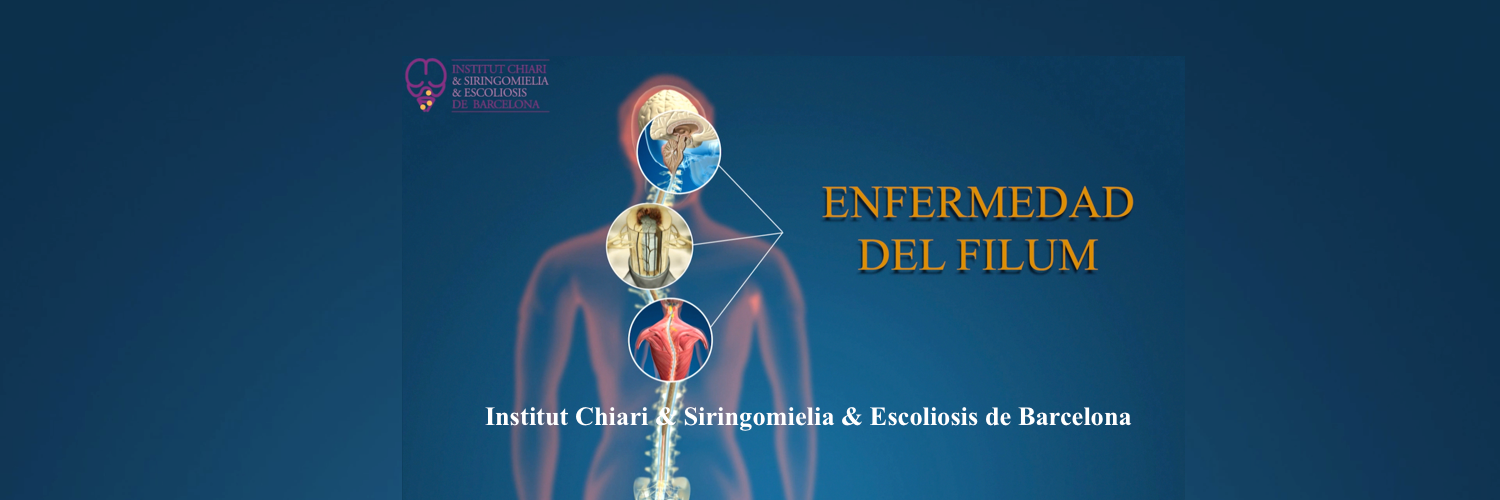 icsebcn's profile banner image