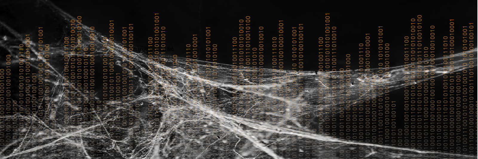 RepKnight's profile banner image