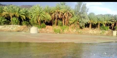 مشعل الخالدي banner