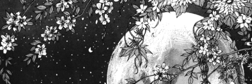 likewolfteeth's profile banner image