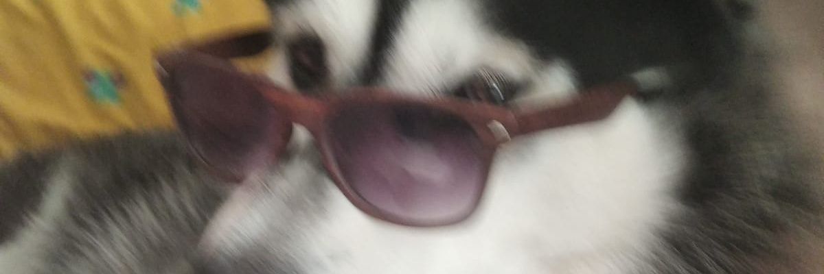 Seyronh's profile banner image