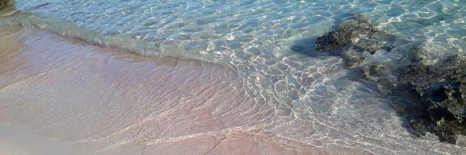 paola bolaffio banner