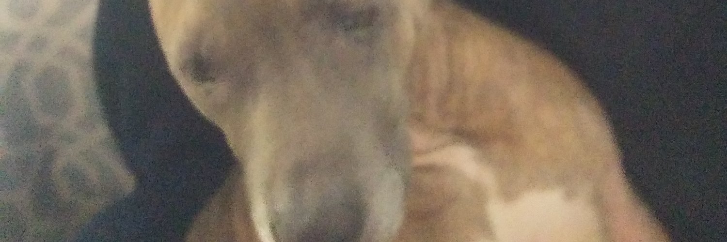 joshtowne's profile banner image