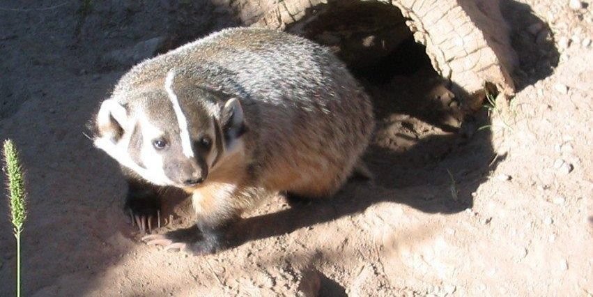 Jane Laitinen 🏀🏈⚾️🎣 banner