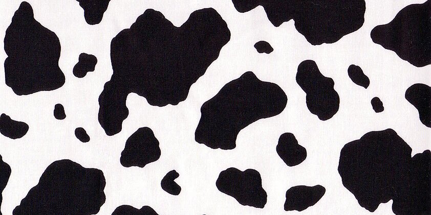 KilbyCream's profile banner image