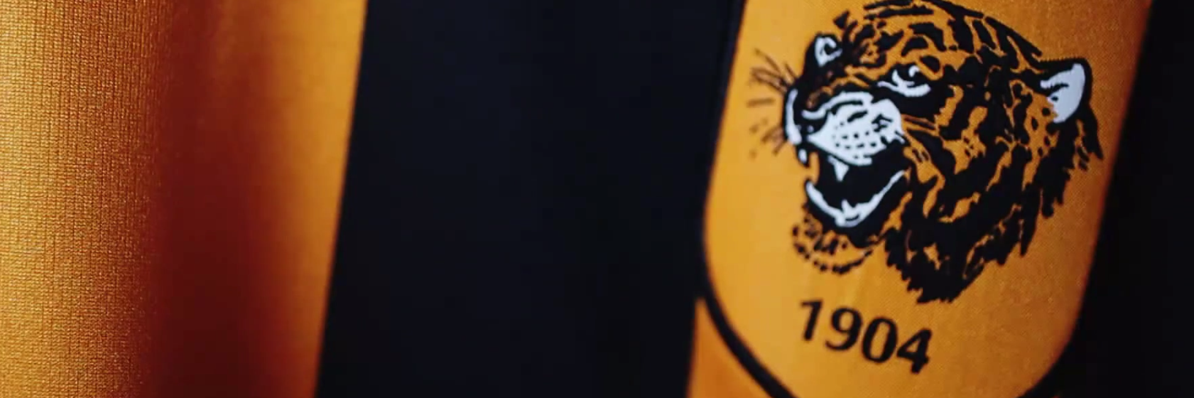 DaveJWilko's profile banner image