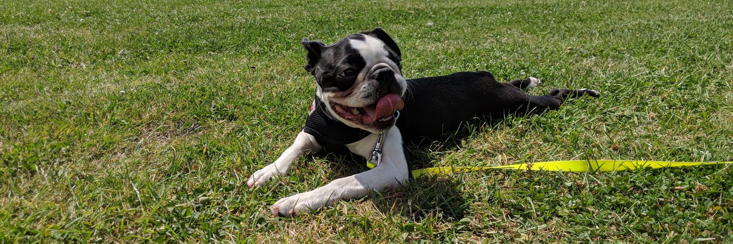 potterwec's profile banner image