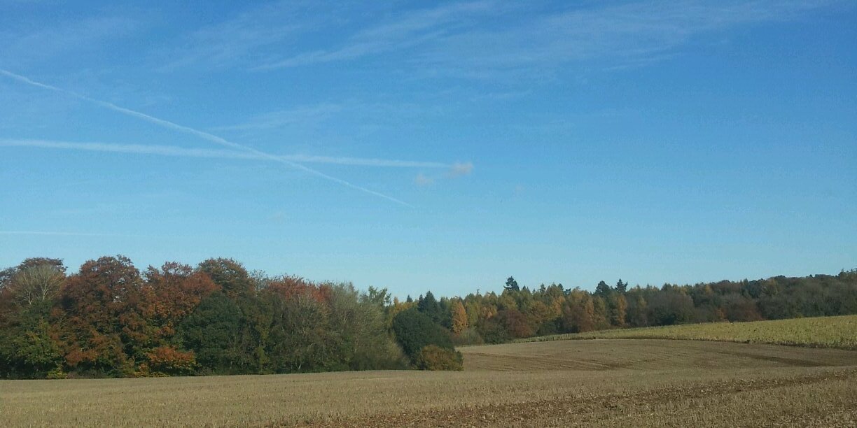 Caroline Green banner