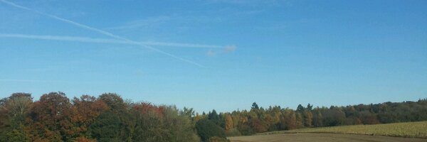 gugreen Profile Banner