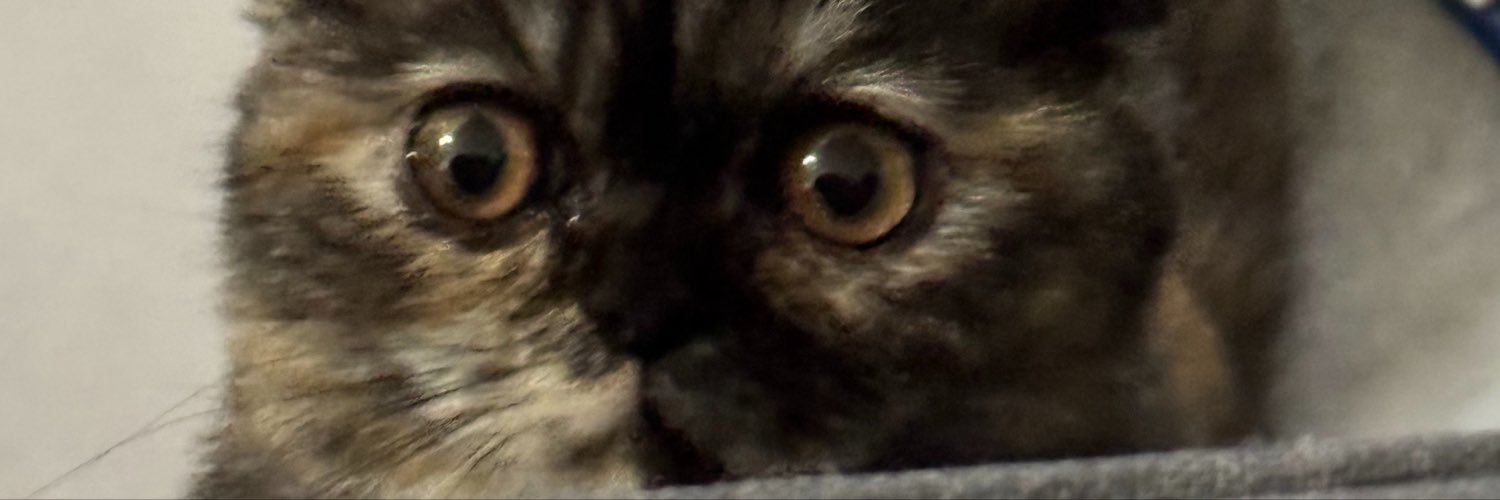 FerG8mez's profile banner image