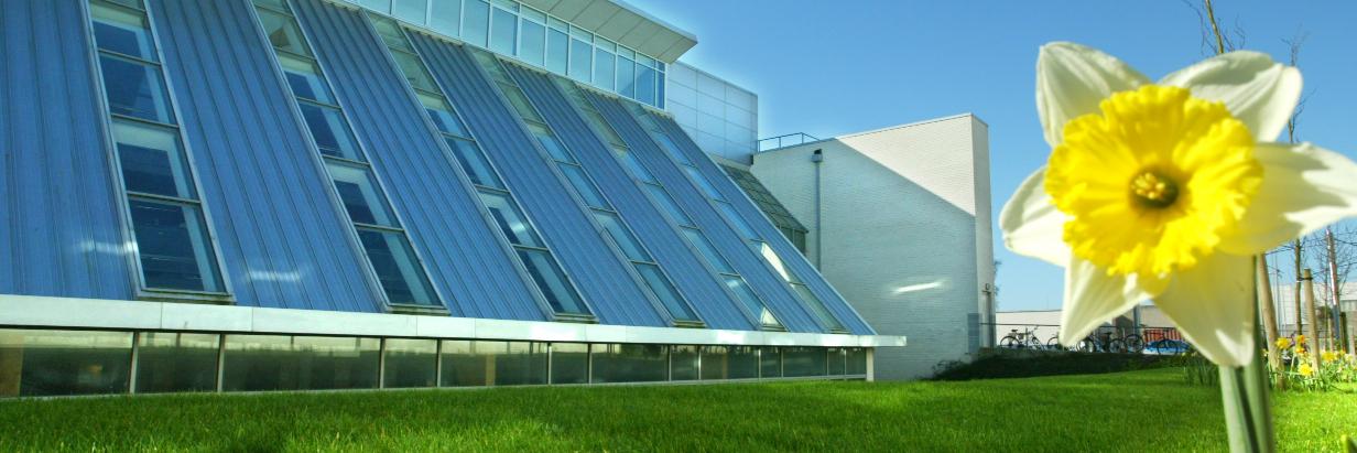 witlibraries's profile banner image