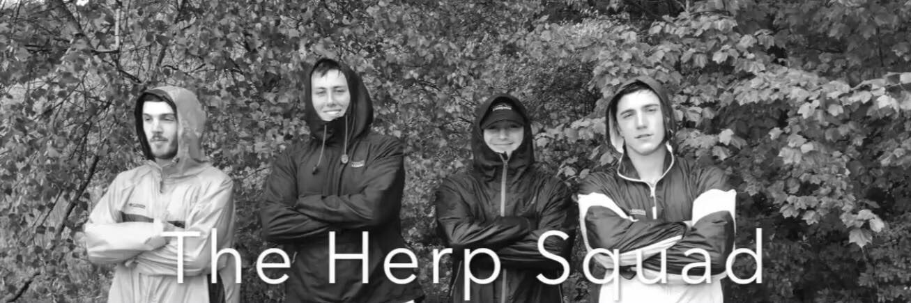 axkapral1's profile banner image