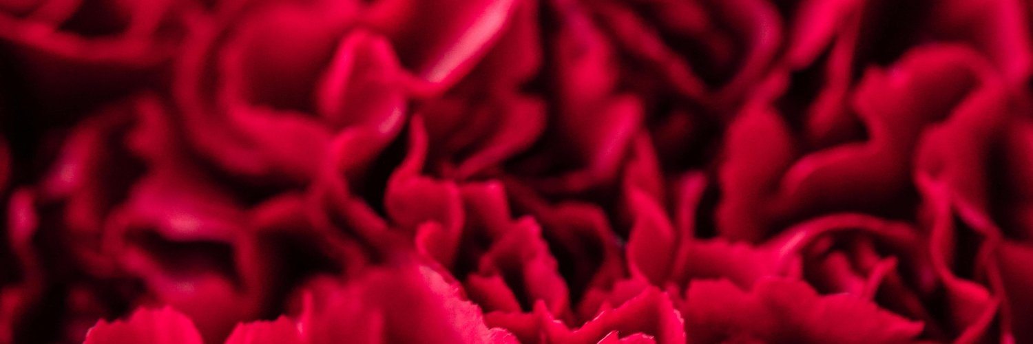 bsimsek382's profile banner image
