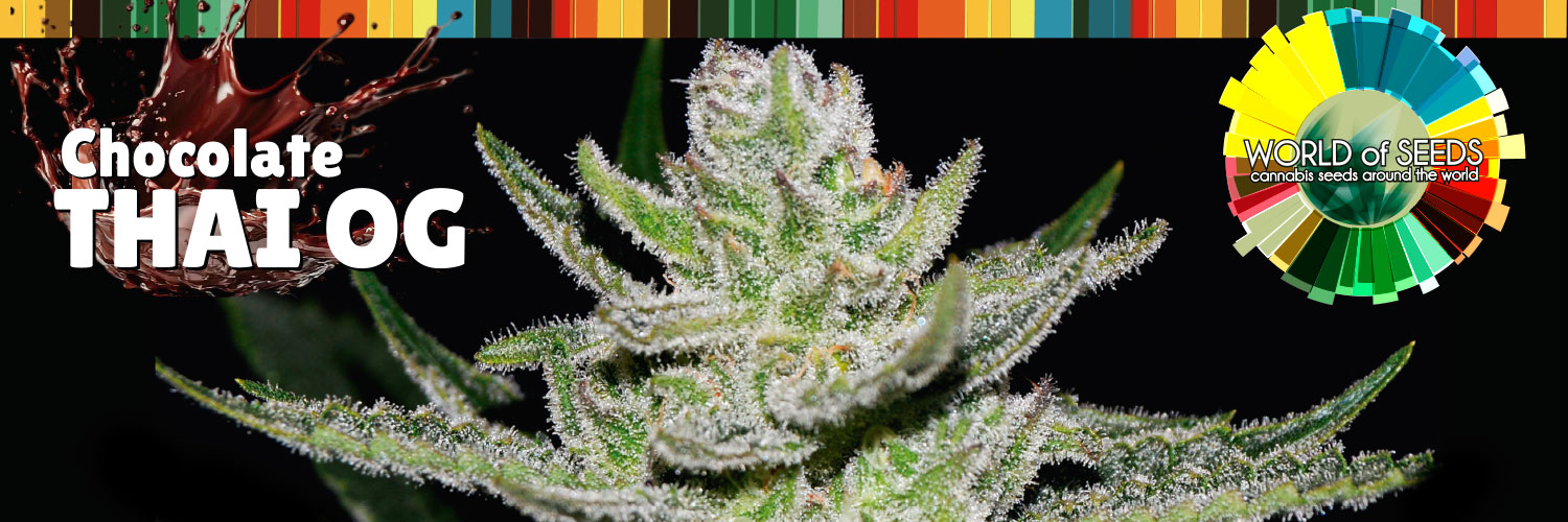 WorldOfSeeds's profile banner image