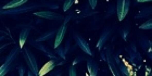 selenaprincess_'s profile banner image