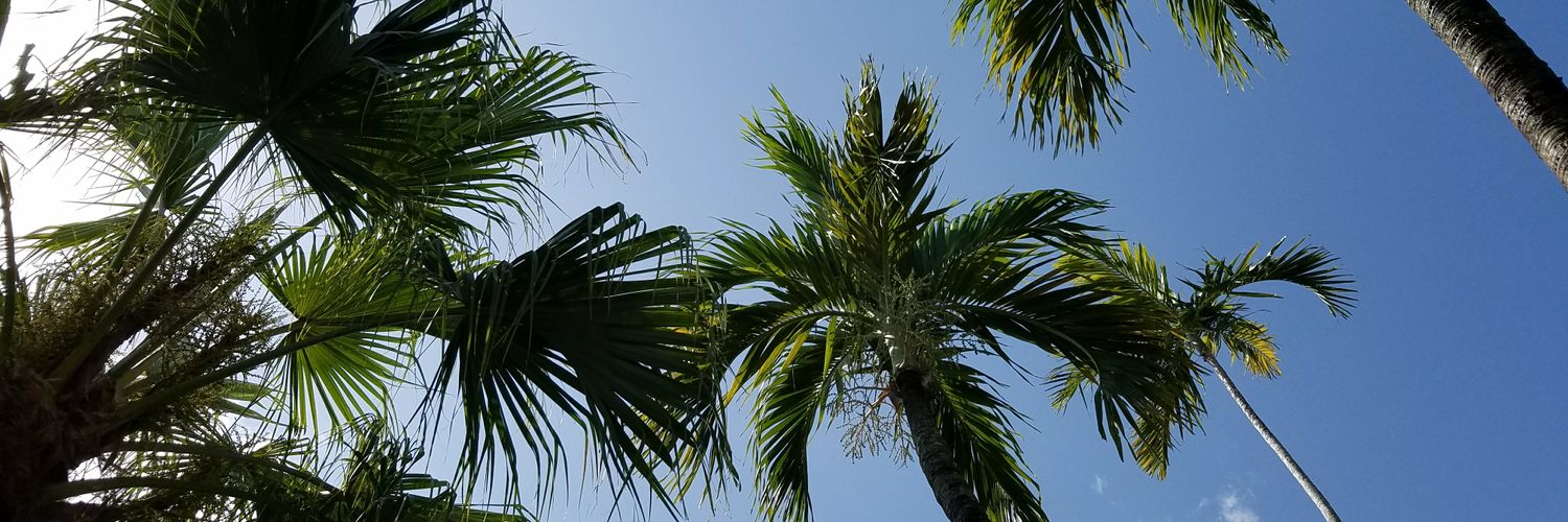 jdmulet's profile banner image
