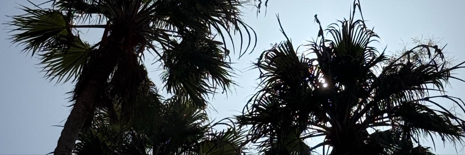 wadors's profile banner image