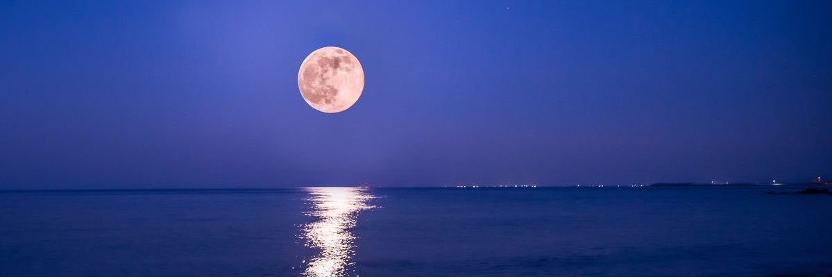 MoonKata⚡️ banner