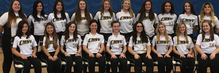 MtStVincentSoftball banner