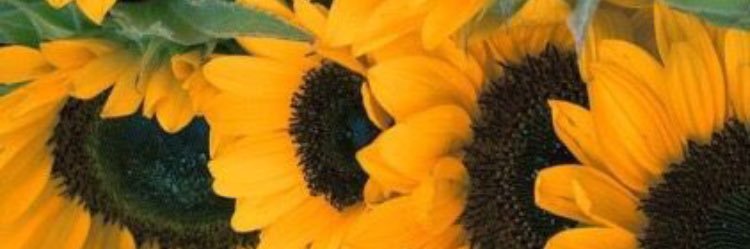 CaiteeyyCatt's profile banner image