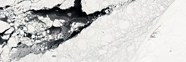 theremotesensor's profile banner image