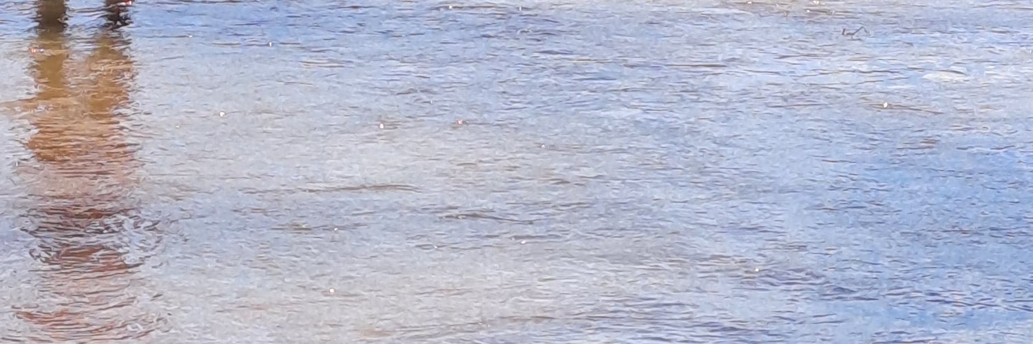 MGwamuri's profile banner image