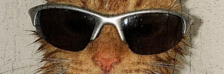 jadozam's profile banner image