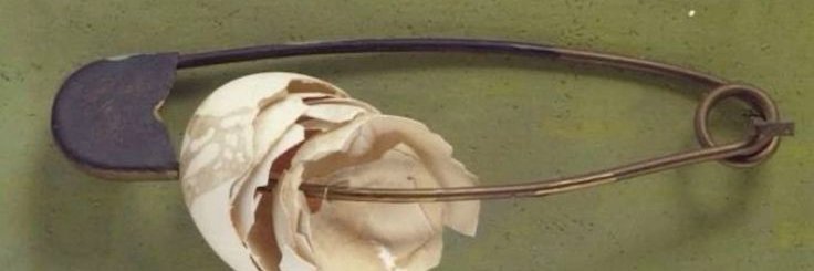 lini banner