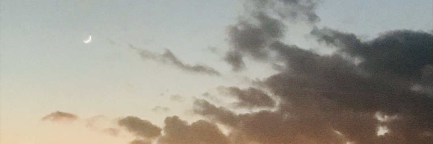 ddamlagokce's profile banner image