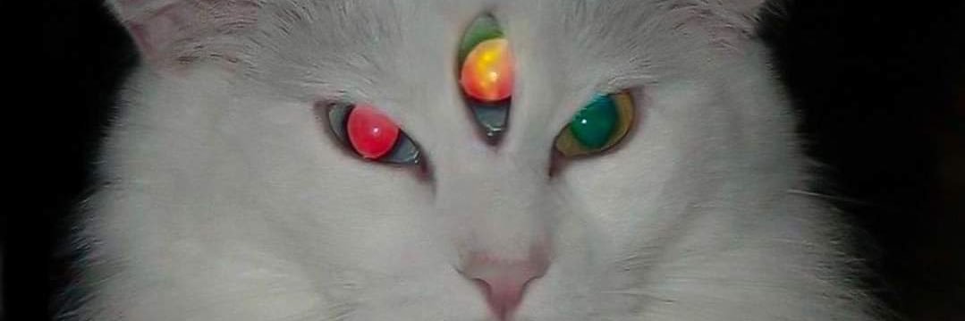 triplessiete's profile banner image