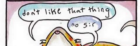 friendlypossum's profile banner image
