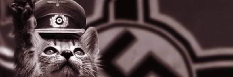 MedrDe's profile banner image