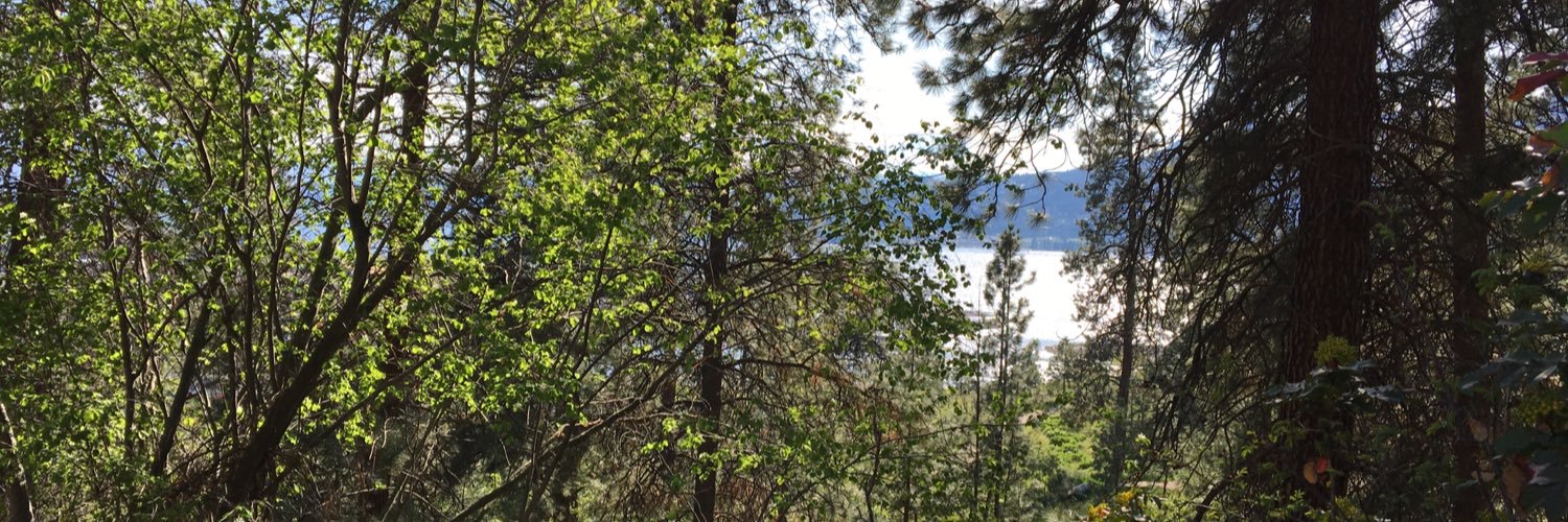 WellnessTanya's profile banner image
