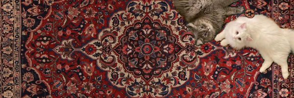 hilovskii Profile Banner