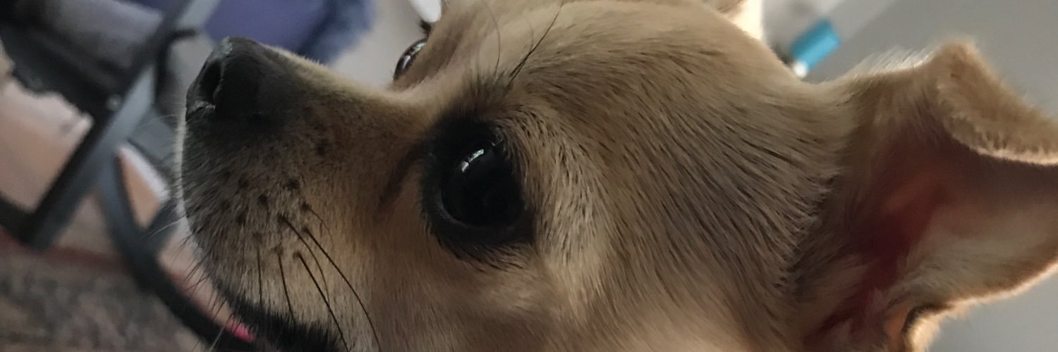 PhTouwaide's profile banner image