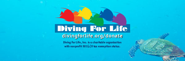 divingforlife's profile banner image